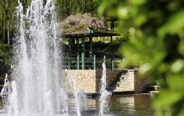 校园风光