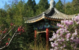 校园风光